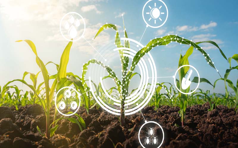 Modern Seeding Technologies